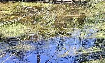 Imagem: Chácara em Mato Bonito, Campo Alegre/SC