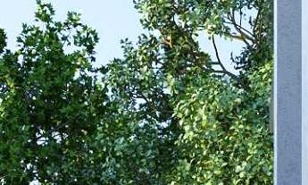 Imagem 5: Apartamento à venda no bairro Saguaçu - Joinville/SC