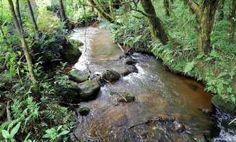 Imagem: Chácara em Ribeirão do Meio, Campo Alegre/SC