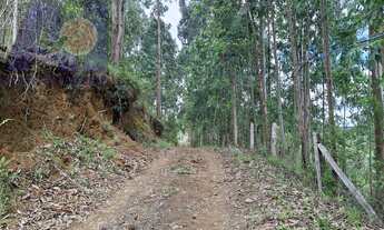 Imagem 3: Chácara em Ribeirão do Meio, Campo Alegre/SC