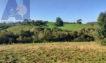 Imagem: Terreno Rural, 1 dormitório na Estrada