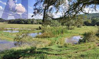 Imagem 6: Sítio em Bateias de Baixo, Campo Alegre/SC