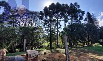 Imagem 3: Sítio em Bateias de Baixo, Campo Alegre/SC