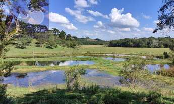 Imagem 7: Sítio em Bateias de Baixo, Campo Alegre/SC
