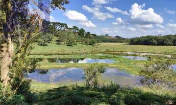 Imagem: Sítio em Bateias de Baixo, Campo Alegre/SC