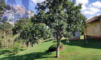 Imagem 5: Sítio em Bateias de Baixo, Campo Alegre/SC