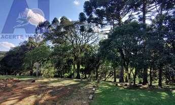 Imagem 4: Sítio em Bateias de Baixo, Campo Alegre/SC