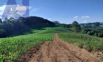 Imagem 3: Chácara à venda no bairro Papanduvinha - Campo Alegre/SC, Rural