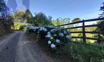 Imagem: Chácara à venda no bairro Papanduvinha