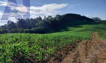 Imagem 2: Chácara à venda no bairro Papanduvinha - Campo Alegre/SC, Rural