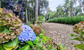 Imagem: Chácara em Bateias de Baixo, Campo Alegre/SC