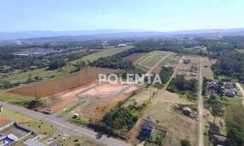 Imagem: LOTEAMENTO FLORES DO CAMPO