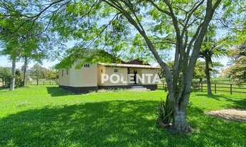 Imagem 3: SÍTIO COM 4.2 HECTARES - EM IÇARA