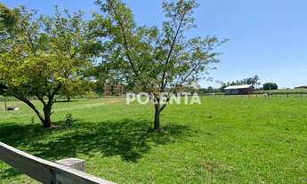 Imagem 6: SÍTIO COM 4.2 HECTARES - EM IÇARA