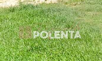 Imagem 5: SÍTIO COM 4.2 HECTARES - EM IÇARA