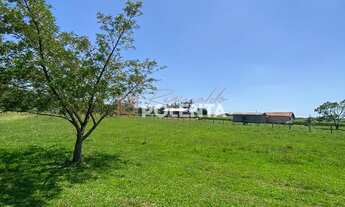 Imagem: SÍTIO COM 4.2 HECTARES - EM IÇARA