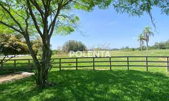 Imagem 7: SÍTIO COM 4.2 HECTARES - EM IÇARA