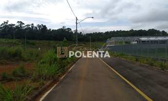 Imagem: Loteamento Parque dos Ipês