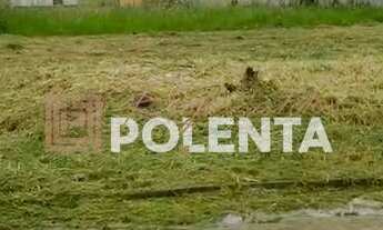 Imagem: TERRENO NO LOTEAMENTO VILA REAL