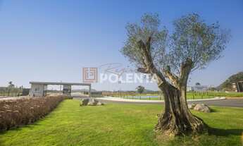 Imagem 2: TERRENO INDUSTRIAL NO CONDOMÍNIO NAVEPARK