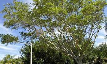 Imagem 7: SANTA MARTA CONDOMÍNIO RESIDENCIAL