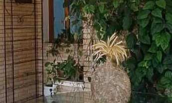 Imagem 2: Casa à venda no bairro Pitas - Cotia/SP