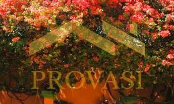 Imagem: Alphaville Residencial 5 (Santana de Parnaíba)