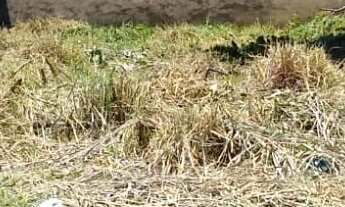 Imagem: Terreno à venda no Pontal Santa Marina