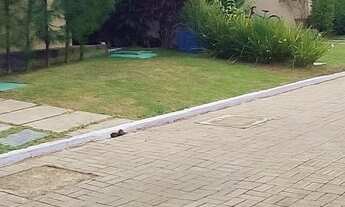 Imagem 3: Casa Plana em Condomínio Fechado no Eusébio, 53m2, Amplo Quintal, 02 Quartos, 01 Banheiro