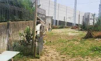 Imagem: Terreno Lote - Estreito