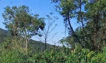 Imagem 4: Terreno no João Paulo - Fpolis