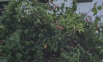 Imagem: Casa no Agronomica - Florianópolis SC