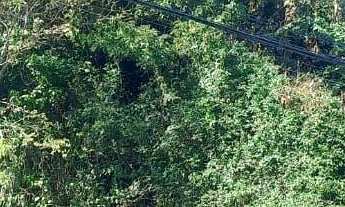 Imagem: Terreno em Loteamento no João Paulo