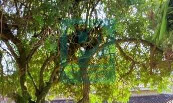 Imagem: Terreno Amplo com Casa, Piscina, Viabilidade