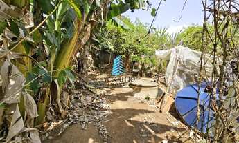 Imagem 6: Chácara com Lago