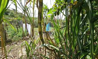 Imagem 4: Chácara com Lago