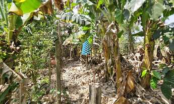 Imagem 5: Chácara com Lago