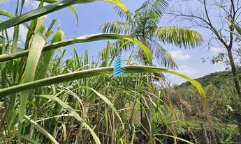 Imagem 3: Chácara com Lago