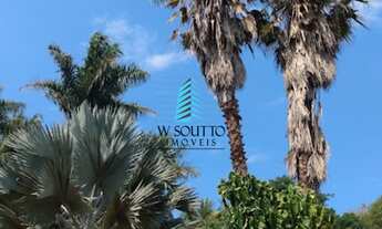 Imagem 4: Chácara com Viveiro de Palmeiras no Jundiaí Mirim