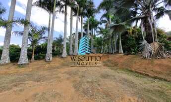 Imagem: Chácara com Viveiro de Palmeiras no Jundiaí