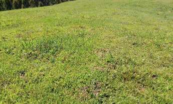 Imagem: Terreno Rio Do Sul/Sc