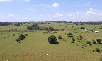 Imagem 7: Chacara a Venda | 22mil metros ????