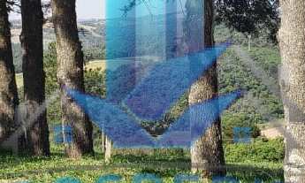 Imagem 2: LOTE Com Topográfia plano - Cond. Nascentes do Parurú - Ibíuna/SP