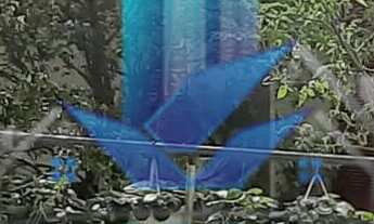 Imagem: Casa Térrea a venda no Jardim Ipê com