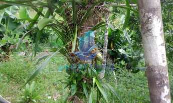 Imagem 5: Vende-se terreno perfeito para área de lazer - Salto de Ibíuna/SP