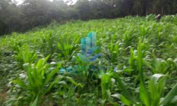 Imagem 4: Vende-se terreno perfeito para área de lazer - Salto de Ibíuna/SP