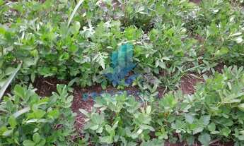 Imagem 7: Vende-se terreno perfeito para área de lazer - Salto de Ibíuna/SP