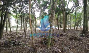 Imagem 6: Terreno Plano com 1.187,11m² - Bairro Agua Espraiada - Caucaia do Alto - Cotia/SP