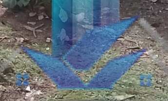 Imagem 3: Ótima casa térrea á venda com 03 dorms - Parque Rincão - Cotia/SP