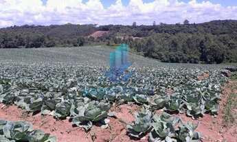 Imagem 6: Vende-se Terreno Com Topográfia plano - Morro Grande - Ibíuna/SP